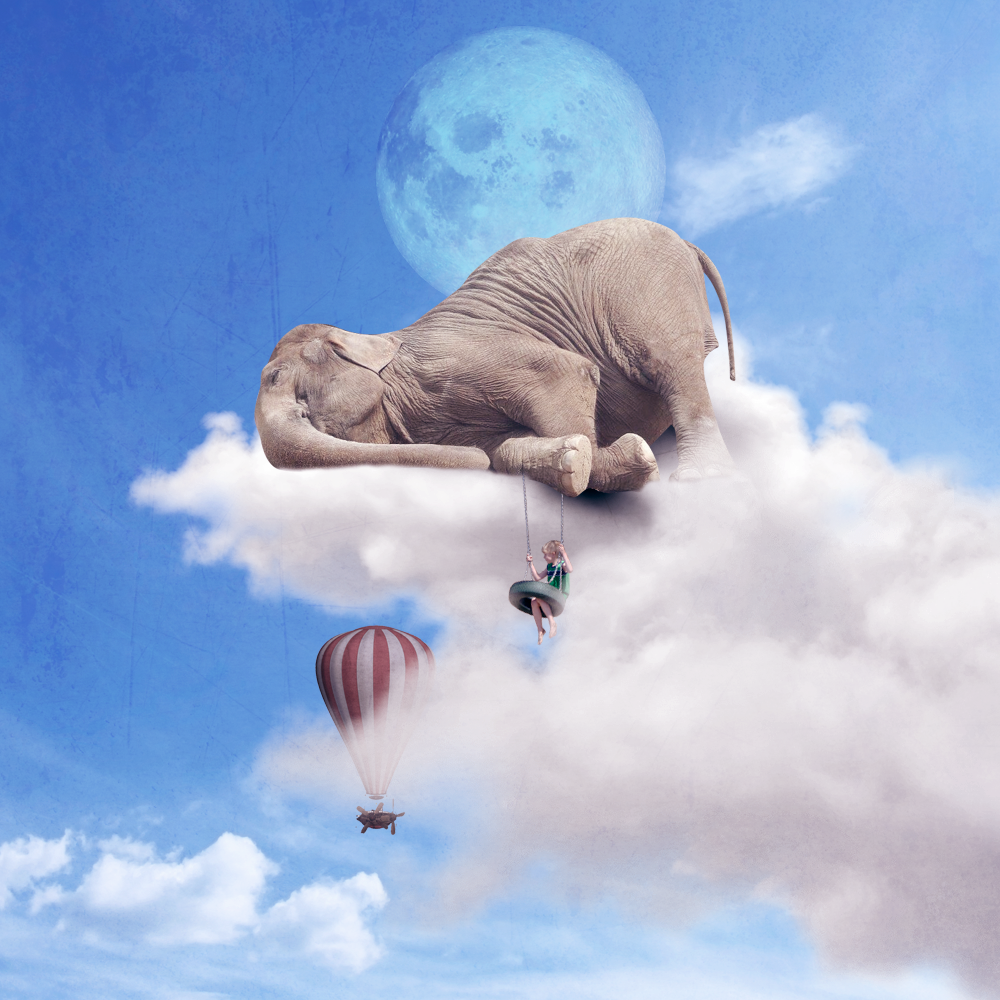 [Gustavo Aguiar] Colagens