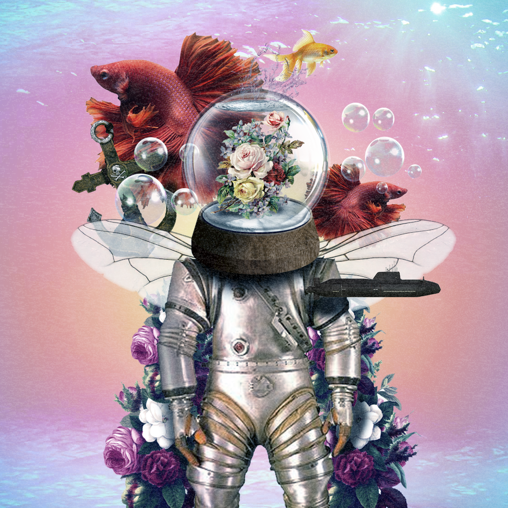 [Gustavo Aguiar] Colagens