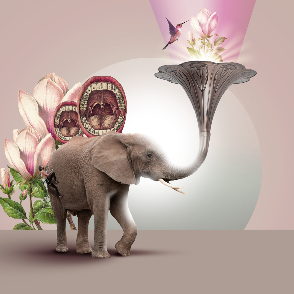 [Gustavo Aguiar] Colagens