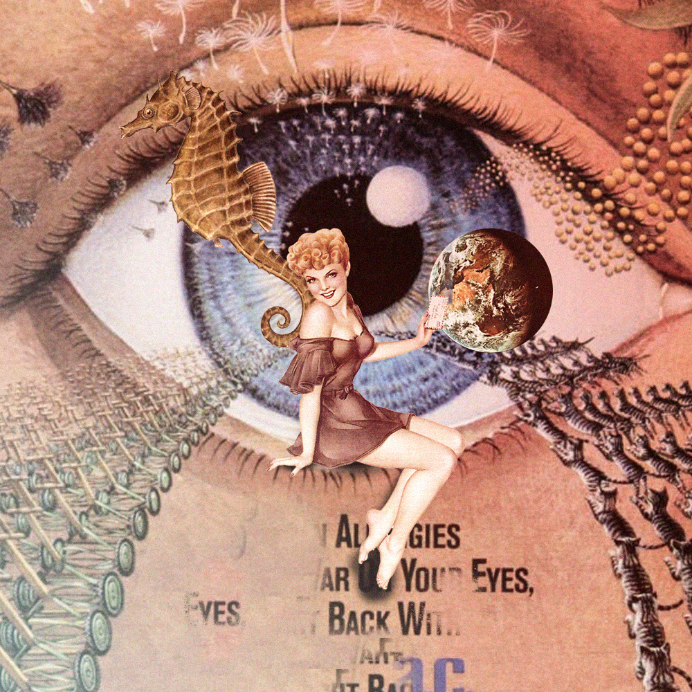 [Gustavo Aguiar] Colagens