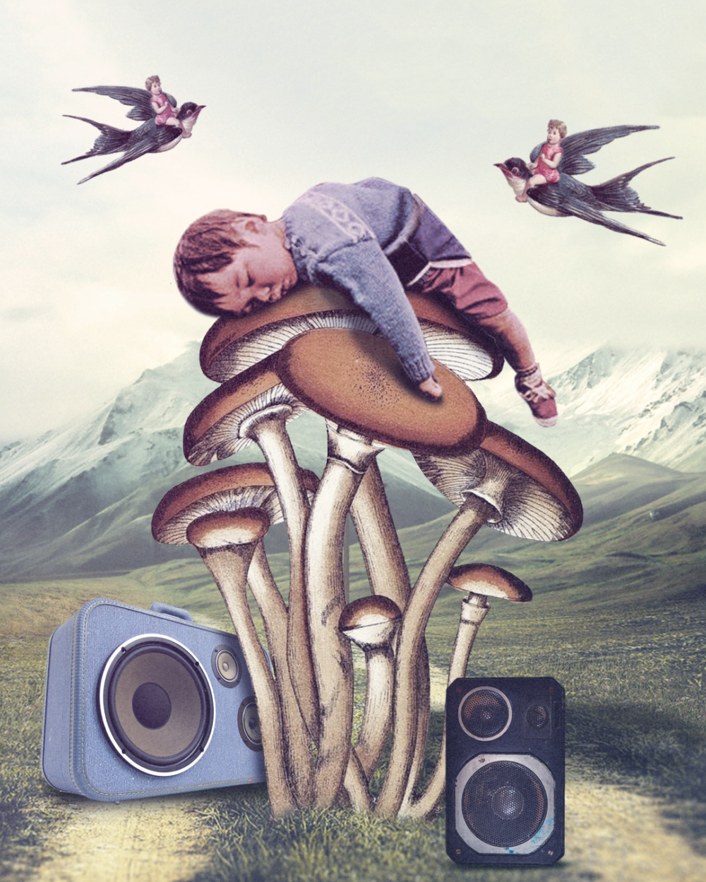 [Gustavo Aguiar] Colagens