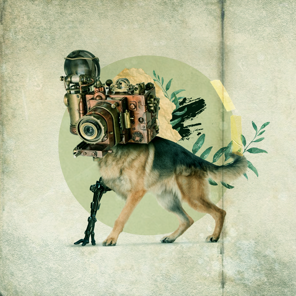 [Gustavo Aguiar] Colagens