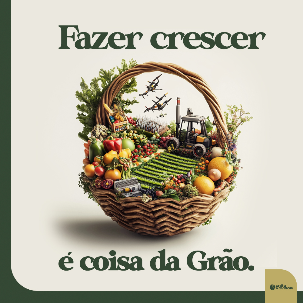 [Gustavo Aguiar] Grão