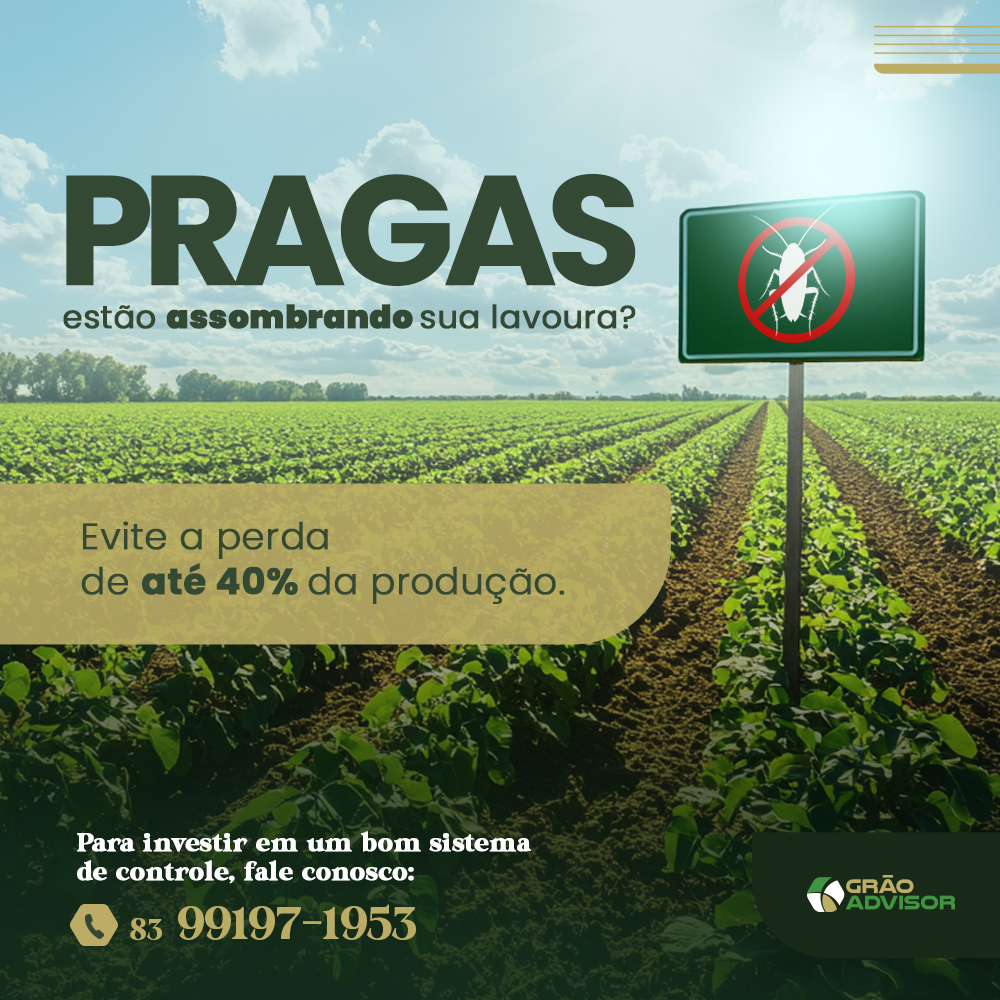 [Gustavo Aguiar] Grão