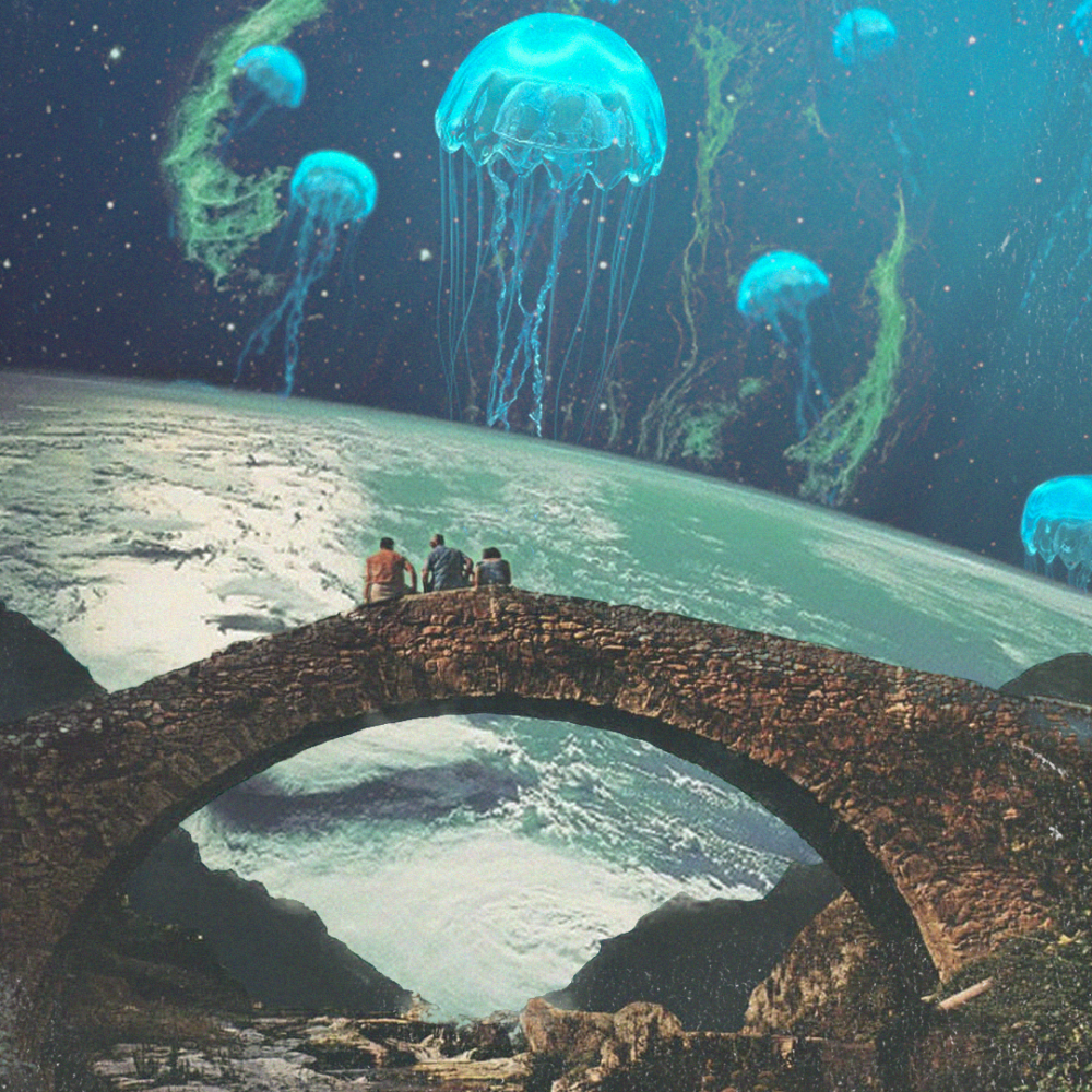 [Gustavo Aguiar] Colagens