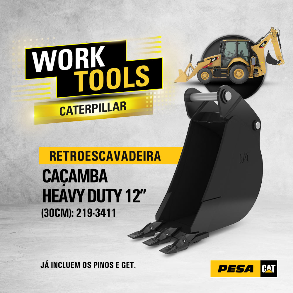 [Gustavo Aguiar] Pesa Cat
