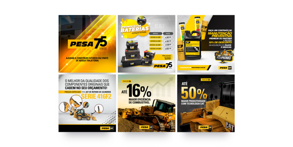 [Gustavo Aguiar] PesaCat