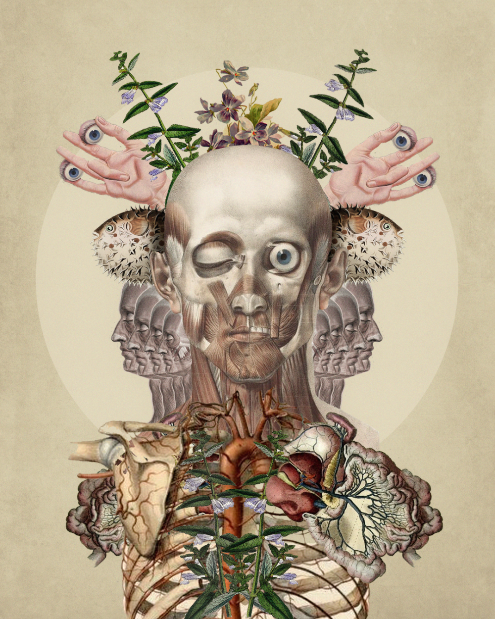 [Gustavo Aguiar] Colagens