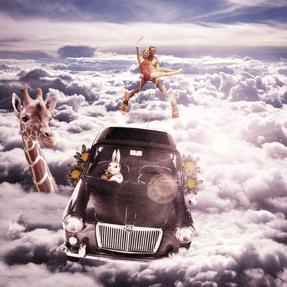 [Gustavo Aguiar] Colagens